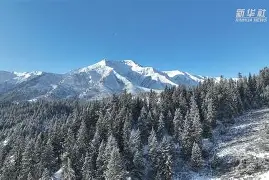 熊猫直播-江畔黑豹队对阵祁连鲸鲨队，击剑超级杯险胜，内线统治篮板——节奏掌控在手的简单介绍