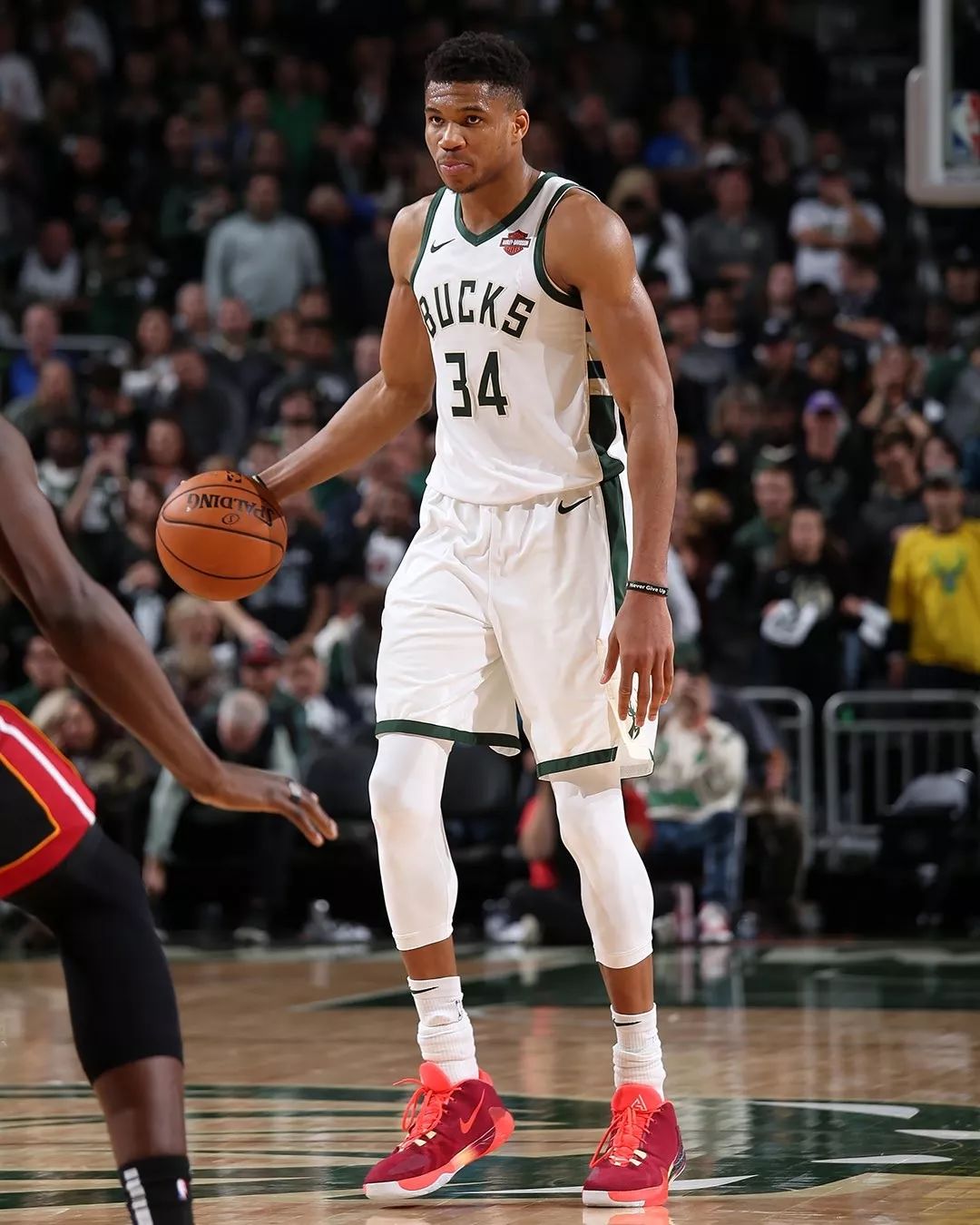 熊猫直播-字母哥巅峰对决，蒂姆与70激战快船分钟，回归赛场胜负难料！的简单介绍